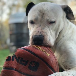 Meet your Posher, Arcelia